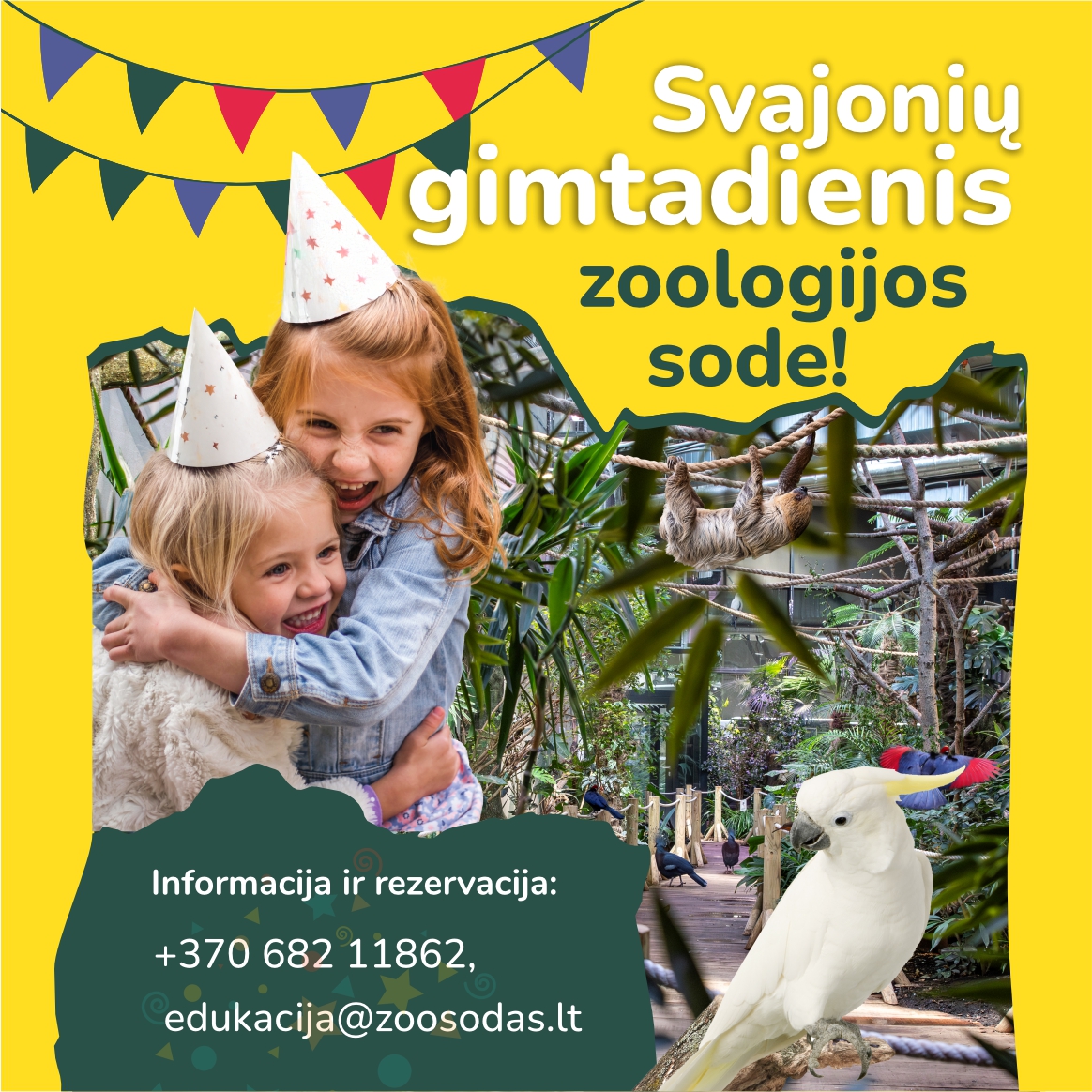 Svajonių gimtadienis